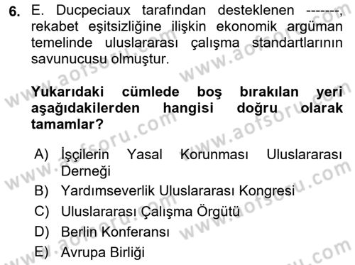 Uluslararası Sosyal Politika Dersi 2024 - 2025 Yılı (Vize) Ara Sınav Soruları 6. Soru