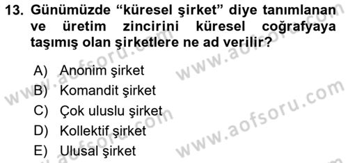 Uluslararası Sosyal Politika Dersi 2024 - 2025 Yılı (Final) Dönem Sonu Sınav Soruları 13. Soru