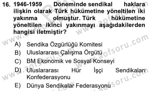 Uluslararası Sosyal Politika Dersi 2024 - 2025 Yılı (Final) Dönem Sonu Sınav Soruları 16. Soru