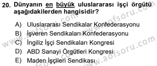 Uluslararası Sosyal Politika Dersi 2024 - 2025 Yılı (Final) Dönem Sonu Sınav Soruları 20. Soru