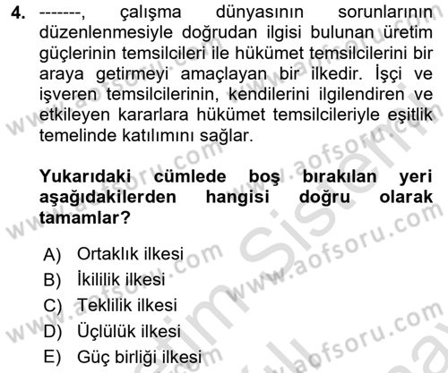 Uluslararası Sosyal Politika Dersi 2024 - 2025 Yılı (Final) Dönem Sonu Sınav Soruları 4. Soru