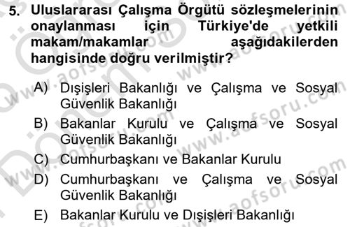 Uluslararası Sosyal Politika Dersi 2024 - 2025 Yılı (Final) Dönem Sonu Sınav Soruları 5. Soru
