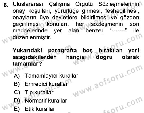 Uluslararası Sosyal Politika Dersi 2024 - 2025 Yılı (Final) Dönem Sonu Sınav Soruları 6. Soru