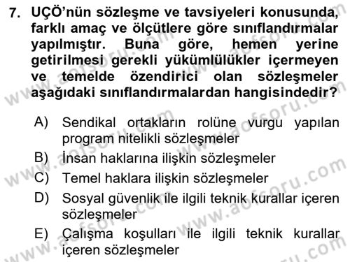 Uluslararası Sosyal Politika Dersi 2024 - 2025 Yılı (Final) Dönem Sonu Sınav Soruları 7. Soru
