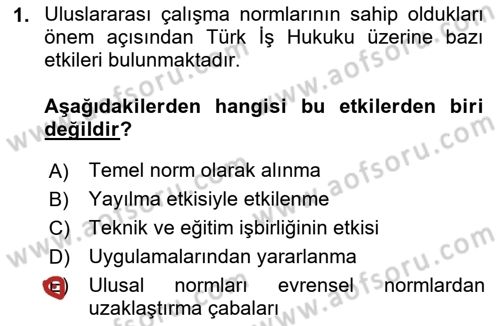 Uluslararası Sosyal Politika Dersi 2024 - 2025 Yılı Yaz Okulu Sınav Soruları 1. Soru
