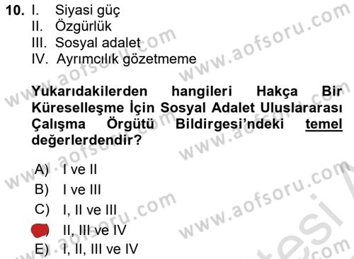 Uluslararası Sosyal Politika Dersi 2024 - 2025 Yılı Yaz Okulu Sınav Soruları 10. Soru