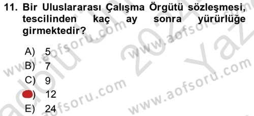 Uluslararası Sosyal Politika Dersi 2024 - 2025 Yılı Yaz Okulu Sınav Soruları 11. Soru