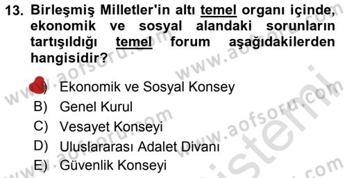 Uluslararası Sosyal Politika Dersi 2024 - 2025 Yılı Yaz Okulu Sınav Soruları 13. Soru
