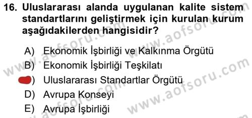 Uluslararası Sosyal Politika Dersi 2024 - 2025 Yılı Yaz Okulu Sınav Soruları 16. Soru