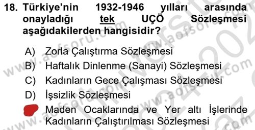 Uluslararası Sosyal Politika Dersi 2024 - 2025 Yılı Yaz Okulu Sınav Soruları 18. Soru