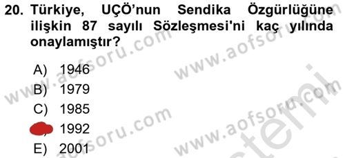 Uluslararası Sosyal Politika Dersi 2024 - 2025 Yılı Yaz Okulu Sınav Soruları 20. Soru