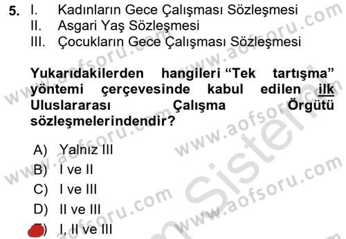 Uluslararası Sosyal Politika Dersi 2024 - 2025 Yılı Yaz Okulu Sınav Soruları 5. Soru