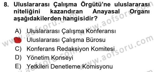 Uluslararası Sosyal Politika Dersi 2024 - 2025 Yılı Yaz Okulu Sınav Soruları 8. Soru