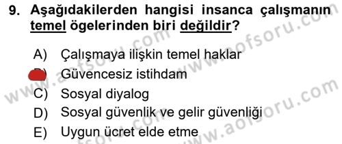 Uluslararası Sosyal Politika Dersi 2024 - 2025 Yılı Yaz Okulu Sınav Soruları 9. Soru