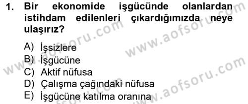 Çalışma Ekonomisi Dersi 2012 - 2013 Yılı (Vize) Ara Sınav Soruları 1. Soru