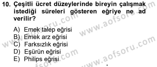Çalışma Ekonomisi Dersi 2012 - 2013 Yılı (Vize) Ara Sınav Soruları 10. Soru