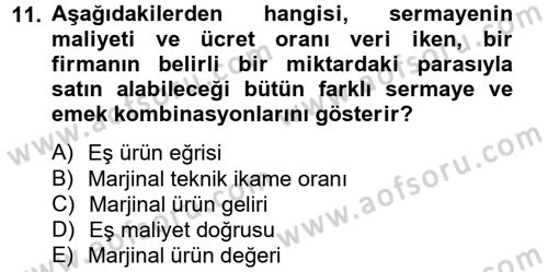 Çalışma Ekonomisi Dersi 2012 - 2013 Yılı (Vize) Ara Sınav Soruları 11. Soru