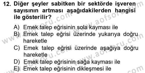 Çalışma Ekonomisi Dersi 2012 - 2013 Yılı (Vize) Ara Sınav Soruları 12. Soru