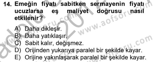 Çalışma Ekonomisi Dersi 2012 - 2013 Yılı (Vize) Ara Sınav Soruları 14. Soru