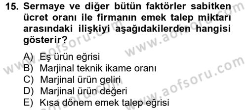 Çalışma Ekonomisi Dersi 2012 - 2013 Yılı (Vize) Ara Sınav Soruları 15. Soru