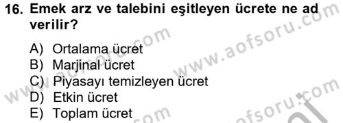 Çalışma Ekonomisi Dersi 2012 - 2013 Yılı (Vize) Ara Sınav Soruları 16. Soru