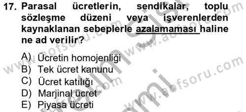 Çalışma Ekonomisi Dersi 2012 - 2013 Yılı (Vize) Ara Sınav Soruları 17. Soru