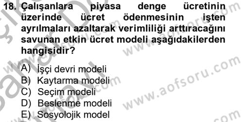 Çalışma Ekonomisi Dersi 2012 - 2013 Yılı (Vize) Ara Sınav Soruları 18. Soru