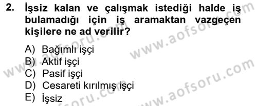 Çalışma Ekonomisi Dersi 2012 - 2013 Yılı (Vize) Ara Sınav Soruları 2. Soru