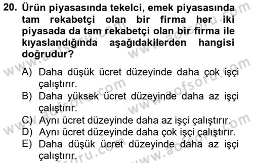 Çalışma Ekonomisi Dersi 2012 - 2013 Yılı (Vize) Ara Sınav Soruları 20. Soru