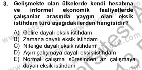 Çalışma Ekonomisi Dersi 2012 - 2013 Yılı (Vize) Ara Sınav Soruları 3. Soru