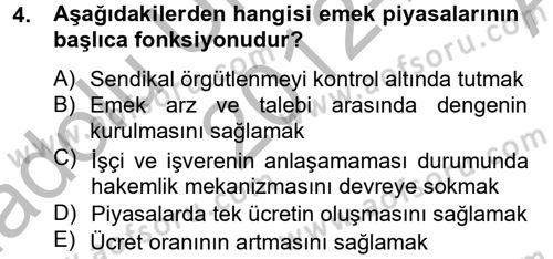 Çalışma Ekonomisi Dersi 2012 - 2013 Yılı (Vize) Ara Sınav Soruları 4. Soru