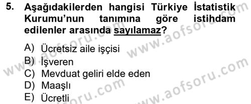 Çalışma Ekonomisi Dersi 2012 - 2013 Yılı (Vize) Ara Sınav Soruları 5. Soru