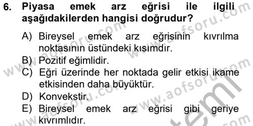 Çalışma Ekonomisi Dersi 2012 - 2013 Yılı (Vize) Ara Sınav Soruları 6. Soru