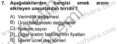 Çalışma Ekonomisi Dersi 2012 - 2013 Yılı (Vize) Ara Sınav Soruları 7. Soru