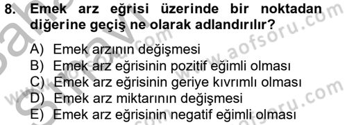 Çalışma Ekonomisi Dersi 2012 - 2013 Yılı (Vize) Ara Sınav Soruları 8. Soru