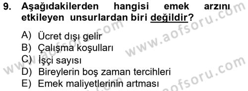 Çalışma Ekonomisi Dersi 2012 - 2013 Yılı (Vize) Ara Sınav Soruları 9. Soru