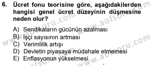 Çalışma Ekonomisi Dersi 2012 - 2013 Yılı (Final) Dönem Sonu Sınavı 6. Soru