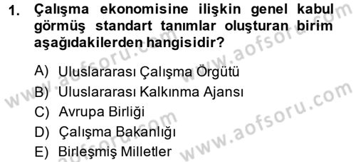 Çalışma Ekonomisi Dersi 2013 - 2014 Yılı (Vize) Ara Sınav Soruları 1. Soru
