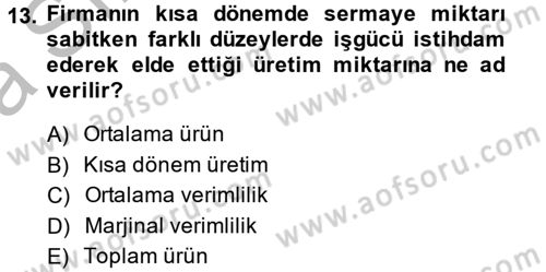 Çalışma Ekonomisi Dersi 2013 - 2014 Yılı (Vize) Ara Sınav Soruları 13. Soru