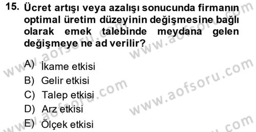 Çalışma Ekonomisi Dersi 2013 - 2014 Yılı (Vize) Ara Sınav Soruları 15. Soru