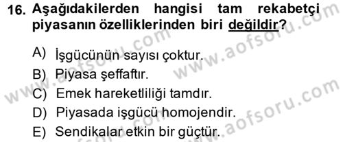 Çalışma Ekonomisi Dersi 2013 - 2014 Yılı (Vize) Ara Sınav Soruları 16. Soru