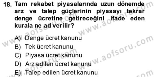 Çalışma Ekonomisi Dersi 2013 - 2014 Yılı (Vize) Ara Sınav Soruları 18. Soru