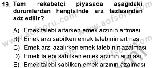 Çalışma Ekonomisi Dersi 2013 - 2014 Yılı (Vize) Ara Sınav Soruları 19. Soru