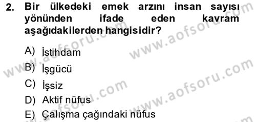 Çalışma Ekonomisi Dersi 2013 - 2014 Yılı (Vize) Ara Sınav Soruları 2. Soru