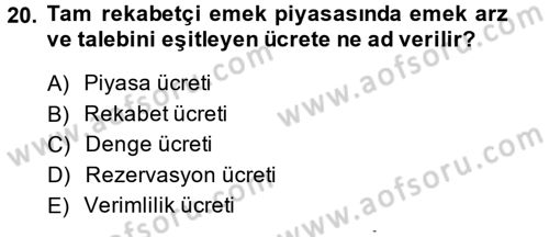Çalışma Ekonomisi Dersi 2013 - 2014 Yılı (Vize) Ara Sınav Soruları 20. Soru