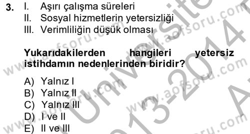 Çalışma Ekonomisi Dersi 2013 - 2014 Yılı (Vize) Ara Sınav Soruları 3. Soru