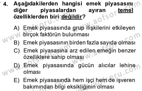 Çalışma Ekonomisi Dersi 2013 - 2014 Yılı (Vize) Ara Sınav Soruları 4. Soru