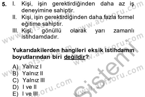 Çalışma Ekonomisi Dersi 2013 - 2014 Yılı (Vize) Ara Sınav Soruları 5. Soru