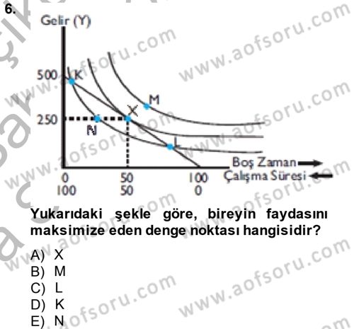 Çalışma Ekonomisi Dersi 2013 - 2014 Yılı (Vize) Ara Sınav Soruları 6. Soru