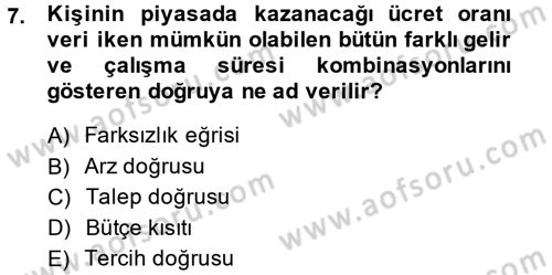 Çalışma Ekonomisi Dersi 2013 - 2014 Yılı (Vize) Ara Sınav Soruları 7. Soru
